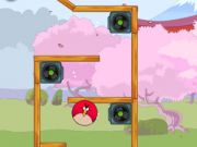 Angry Bird Seek Wife