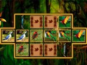 Bird Cards Match