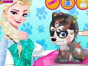 Elsa Queen Doctor Puppy