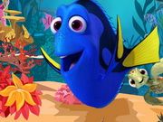 Finding And Releasing Dory