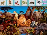 Forest Animals Hidden Objects