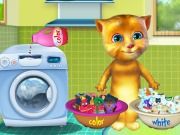 Ginger Washing Clothes