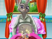 Judy Hopps Maternity Doctor