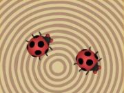 Ladybugs