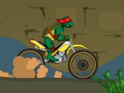 Ninja Turtle Bike