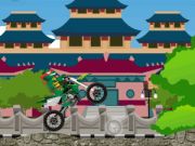 Ninja Turtles Biker