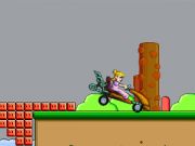 Peach Car Racing