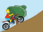 Simpson Bike