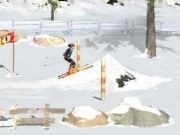 Ski Sim