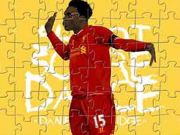 Sturridge Puzzle