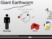 The Scale Of The Universe 2