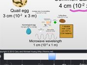 The Scale Of The Universe