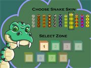 The Snake Game