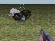 Turkey Shooter 3D